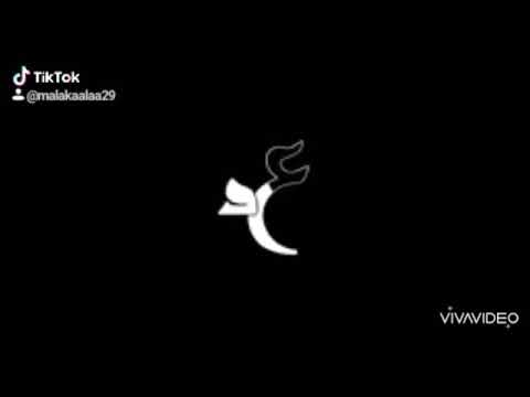 زى مانتى عمرو دياب