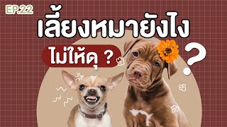 เลี้ยงหมายังไงไม่ให้ดุ | EP.22 | บุ๊ค บอก ต่อ