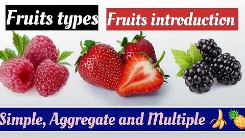 Fruit-types of Fruits|| Classification of fruits || Simple, Aggrigate and Multiple fruits .mushtaq