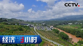 天上无人机、地上智能化，撂荒山地变身新型智慧果园 「经济半小时」20221026 | CCTV财经