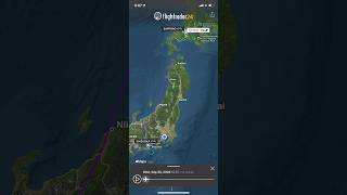 NH1262 CTS-FSZ Final flight #airplane #aeroplane #japan #plane #flightradar24 #boeing #b737