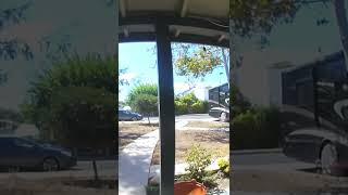 Anne Heche Car Crash Video Footage