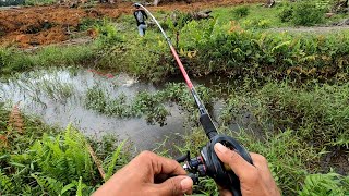 MANCING CASTING IKAN GABUS DI AWAL TAHUN 2024|| Pemancing Sungai Mencoba casting gabus