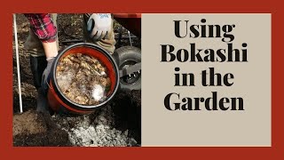 Using Bokashi in The Garden