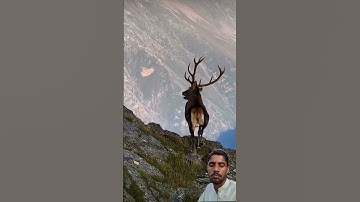 #egzonibrahimi #سورة_الإخلاص #ikhlas #shortvideo #nature
