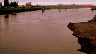 AMTRAK CASCADES Speeds across farms and river in Northern Washington State