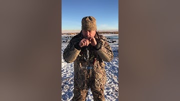 How to Call Ducks with attitude #3 by instructor since 1972 Randy Pribyl