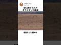 母に捨てられた子ライオンの最後