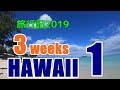 ハワイ旅行記2019#1：長い入国審査と変わるワイキキ、今年も残念過ぎる夕食