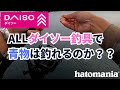 【検証】ダイソー釣具だけで青物は釣れるのか？ daiso fishing
