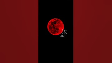 قرآن كريم #اكسبلور#اكتب شيء تؤجر عليه # أرح قلبك وسمعك قليلا #