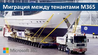 картинка: Миграция между тенантами Microsoft 365