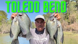 Quick Crappie Limit on Toledo Bend Lake (Popping A Cork Using My