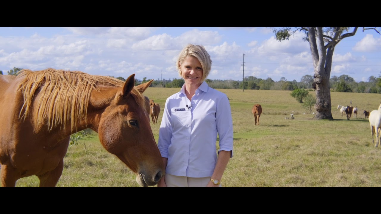 Anchor Realty YouTube