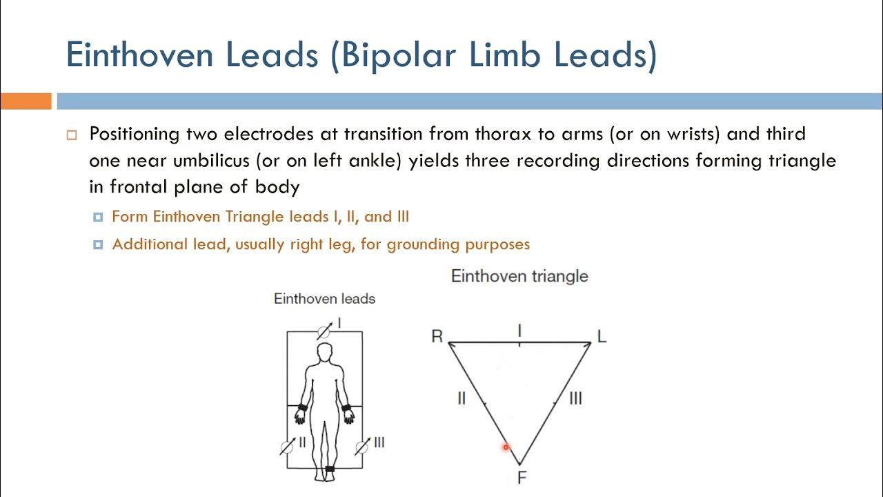 Short Topics in ECG Einthoven (Bipolar Limb) Leads (Arabic Narration