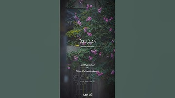 أم لهم إله غير الله | سورة الطور | محمود علي البنا #quran