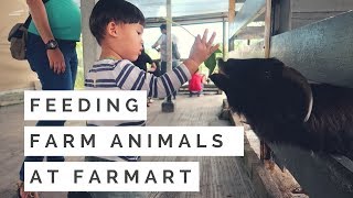 Feeding goats at Farmart!