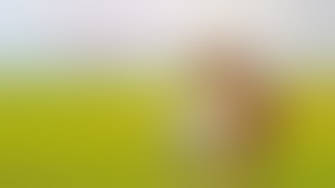 Đưa cơm cho mẹ đi cày / cheems edit