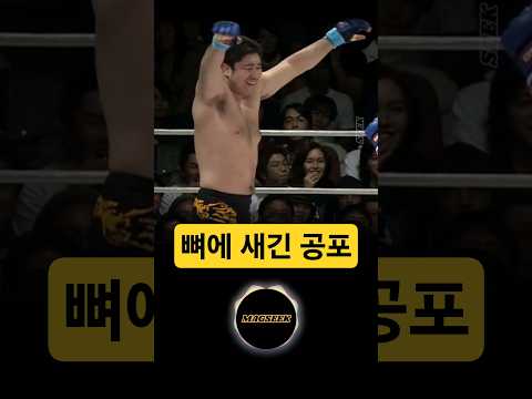 전설을 조롱한 파이터의 최후 #격투기 #프라이드 #크로캅 thumbnail