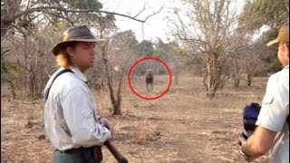 5 Scary Lion Encounters You Should Avoid Watching (Part 4)