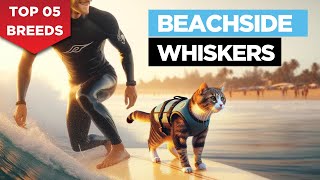 Meet the Top Five Beach-Loving Cat Breeds! by Pets Pine 184 views 2 months ago 3 minutes, 1 second