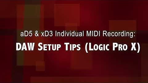 aD5 & xD3 Individual MIDI Recording: DAW Setup Tips (Logic Pro X)