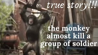 monkey shoots ak-47 at african soldiers