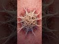#hurt #worm