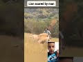 اسد يخاف من رجل
