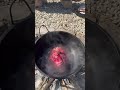 eating beef brain #beefrecipe #brainfry #cooking #bhejacooks #nature #beef