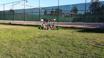 Loiter Mode Eagle Tree Vector