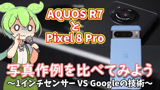 AQUOS R7とPixel 8 Proのカメラで写真・動画の作例を比較して遊ぼうの巻