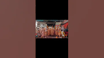 10 Vaisnavas Took Sanyasa Today From Srila Bon Mahārāja At Radhe Kunj Vrindavana Dhama 
