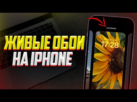 Как установить живые обои на iPhone? Лучший Способ (2023)