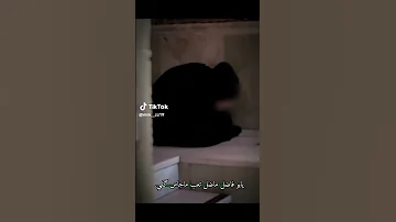 ماضل تعب ماجاس كلبي محمد الحلفي 