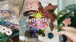 Vlog plantes Rempotage et couture !