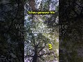 Wie viele Monate haben 28 Tage?...#wissen #denksport #rätselspaß #quiz #logikrätsel #iqtest #sprüche