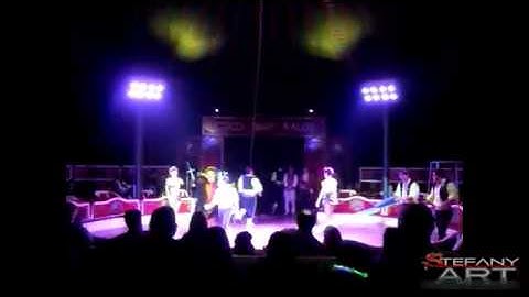 Springboard act-Rumania, represented by Stefani Art