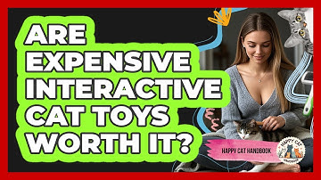 Are Expensive Interactive Cat Toys Worth It? - Happy Cat Handbook