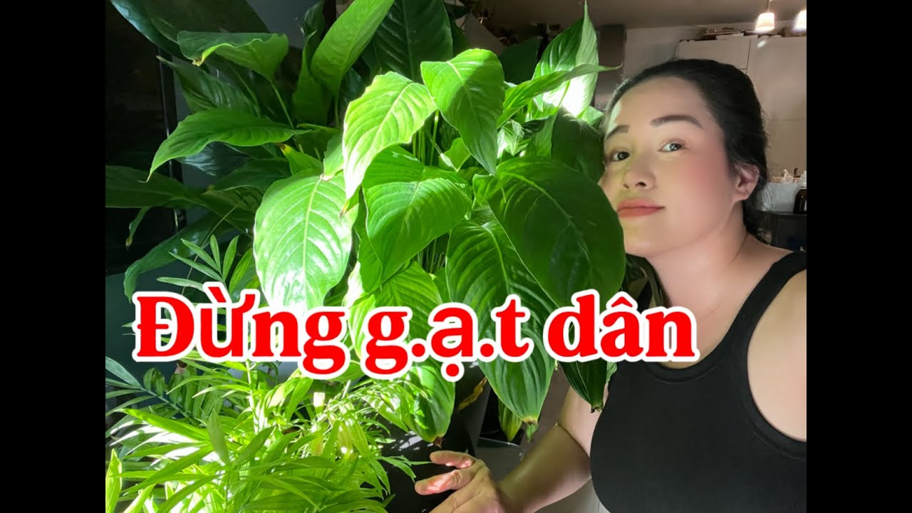 Latest Title & Thumbnail