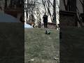 What was that?! #rc #flip #stunt #rcoffoad