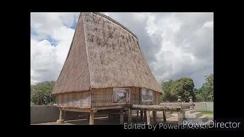 Bóng Cây Kơ Nia (Những bài hát hay về Tây Nguyên )