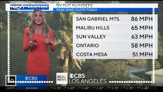 DANI RUBERTI NEXT WEATHER MARCH 14