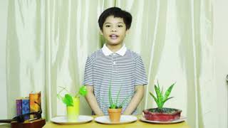 Let's talk about Ornamental Plants - HELE Project