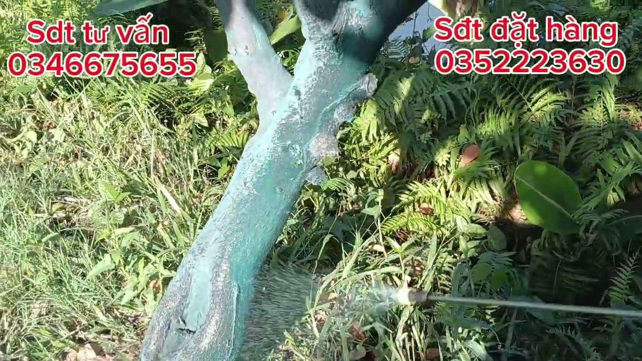 Chia sẻ phân hữu cơ kích bông lớn trái bán tháng 2.3 nha cả nhà 