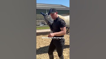 Create a solid foundation in groundwork!  #trtmethod #horse #groundwork #equestrian #dressage