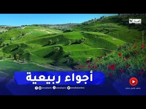 أجواء ربيعية و طقس مشمس و حار تابع التفاصيل