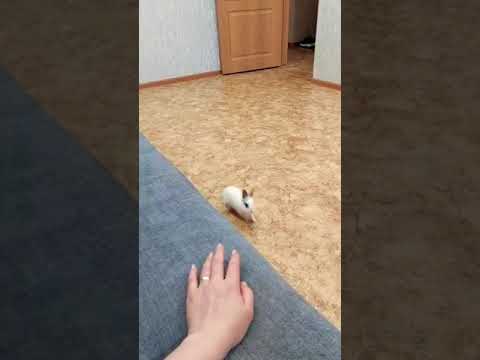 Постой а можно