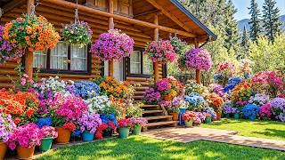 This Garden Will Take Your Breath Away 🏡 The Most Diverse and Vibrant Gardens You'll Ever See screenshot 4