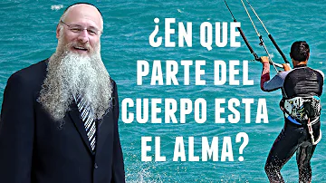 ¿Dónde vive el alma?